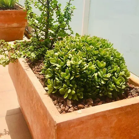 Апартаменты Penthouse La Paz 9 - Castle View Морайра